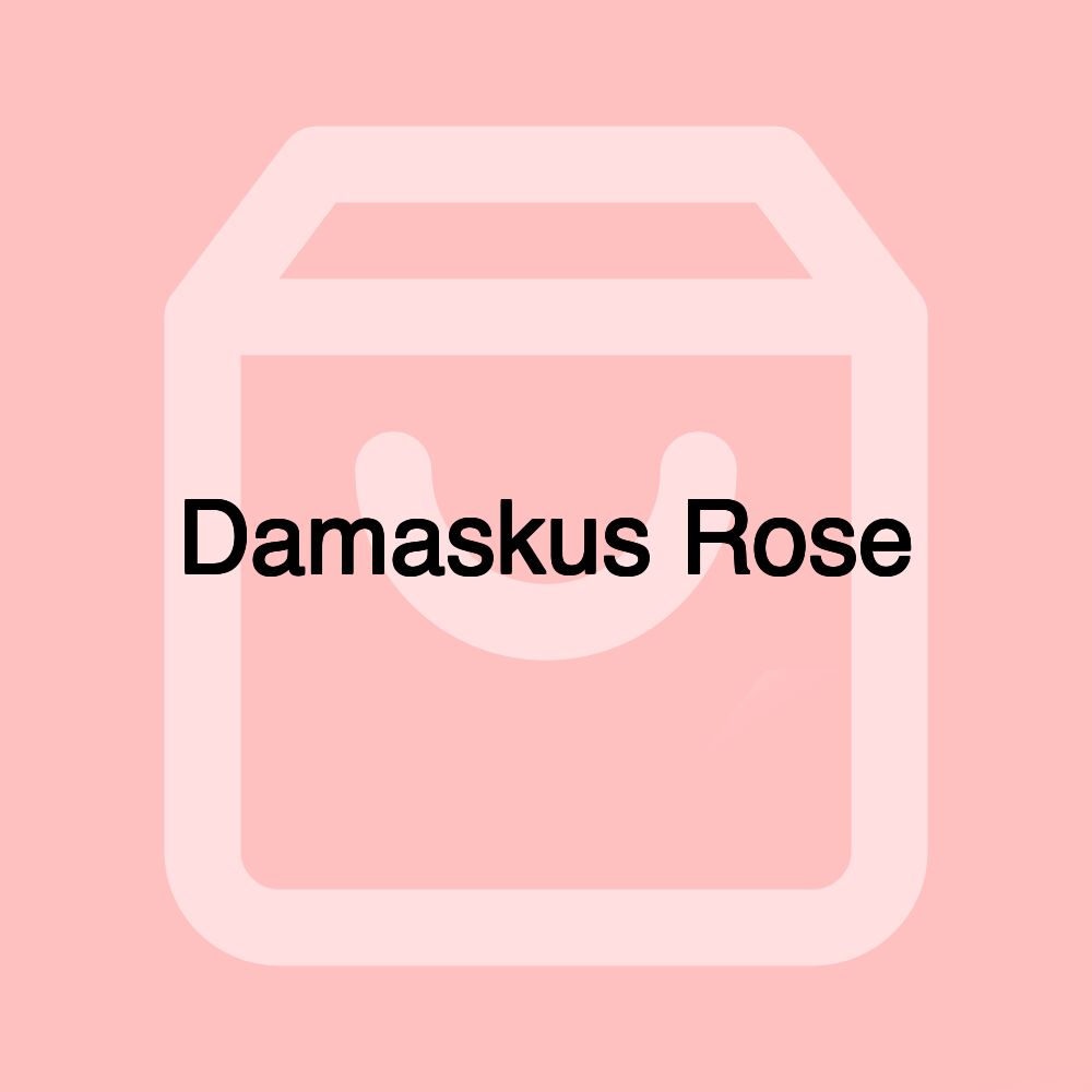 Damaskus Rose