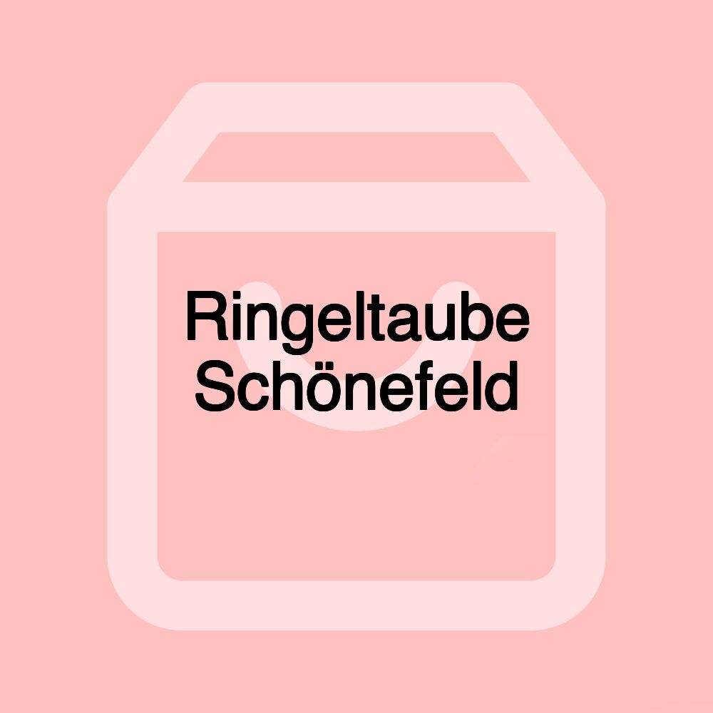Ringeltaube Schönefeld